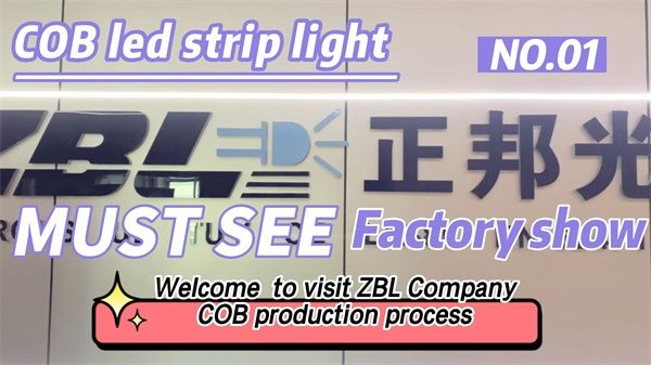 LED COB strip light manufacturing - China factory