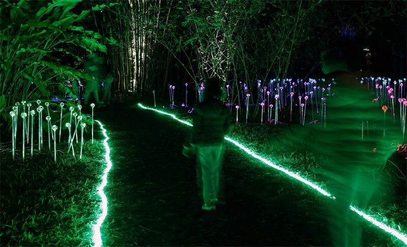 What kind of LED strip lights are suitable for park lighting?