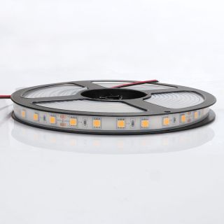 SMD5050 Single Color White Light LED Strip - 5