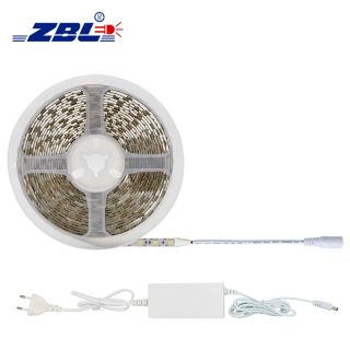 SMD5050 Single Color White Light LED Strip - 1